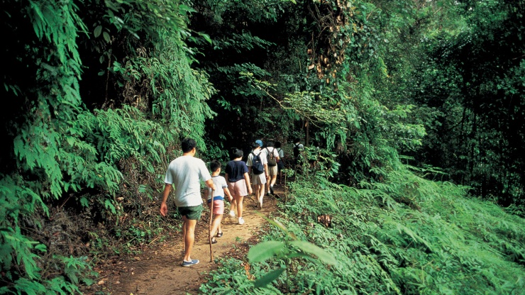 Activities in West Singapore: Bukit Timah Trail